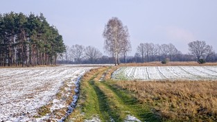 06.04.2021 11:00 Nie mamy co liczyć na większe ocieplenie. Będzie przeszywająco zimno z zawiejami śnieżnymi