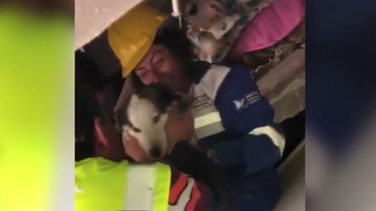 Trzęsienie ziemi w Turcji. Pies przeżył 23 dni pod gruzami