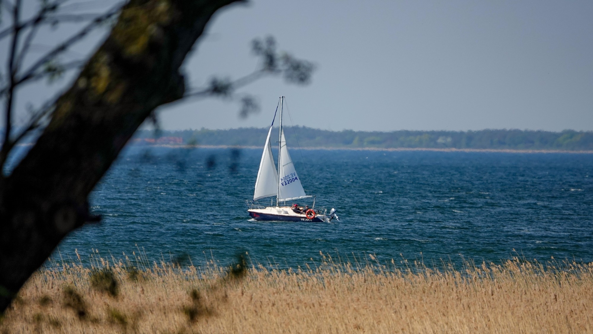 W maju jak w raju - zdjęcie 35