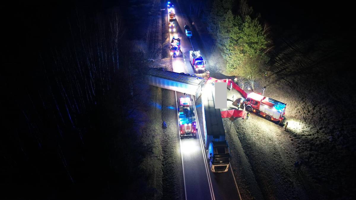 Groźny wypadek pod Skierniewicami. Kierowca przewoził 170 świń