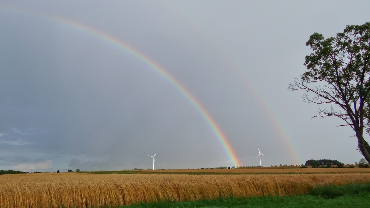 Zakochaj się w Polsce - zdjęcie 31