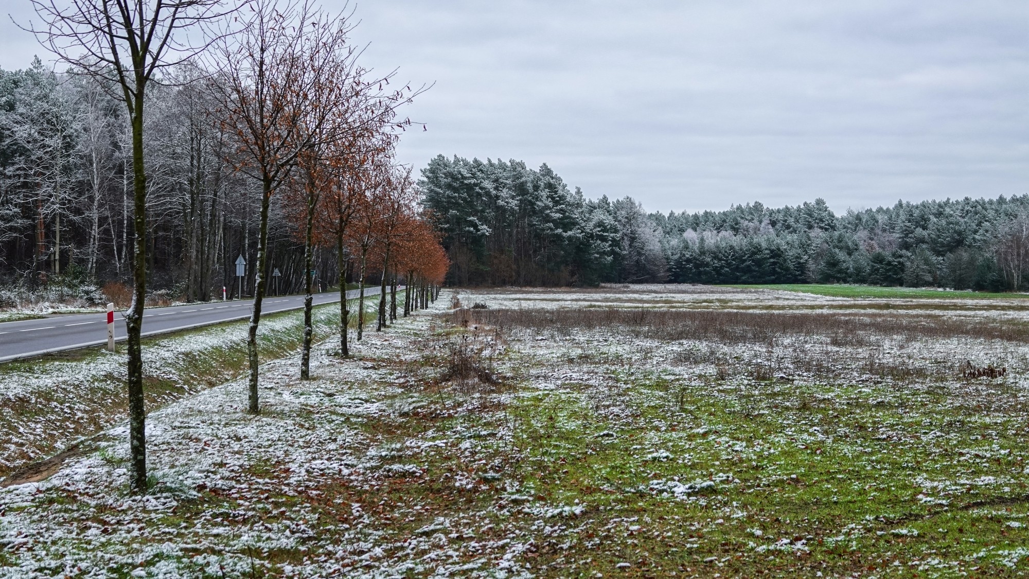 Pierwszy śnieg - zdjęcie 13