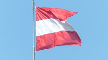 Bundespraesidentenstichwahl... ...wiederholungsverschiebung - oto słowo roku w Austrii