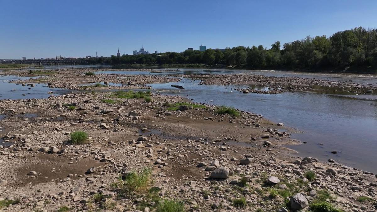 Susza hydrologiczna w Polsce. Rekordowo niski poziom Wisły w Warszawie