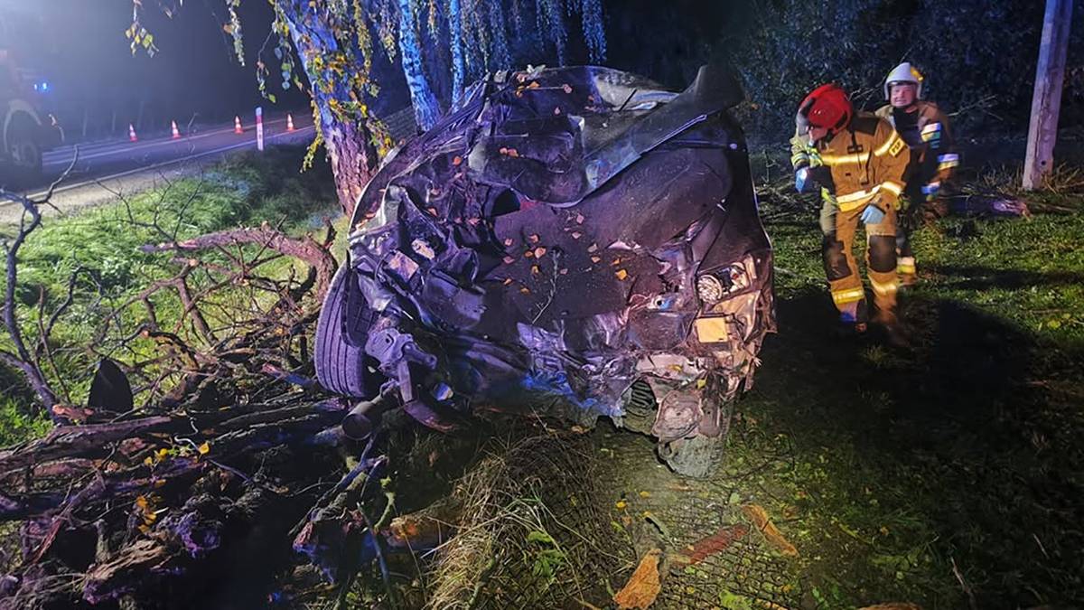 Auto roztrzaskało się na kawałki. Użyli specjalnego sprzętu, by uwolnić kierowcę