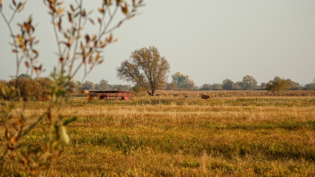 Jesienne krajobrazy za miastem - zdjęcie 53