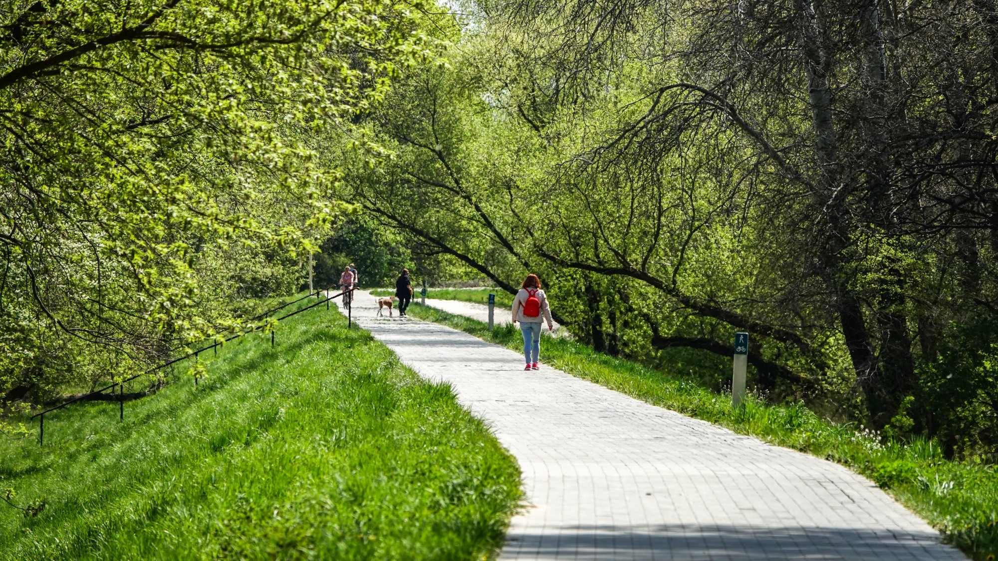 Kwiecień w obiektywie - zdjęcie 19