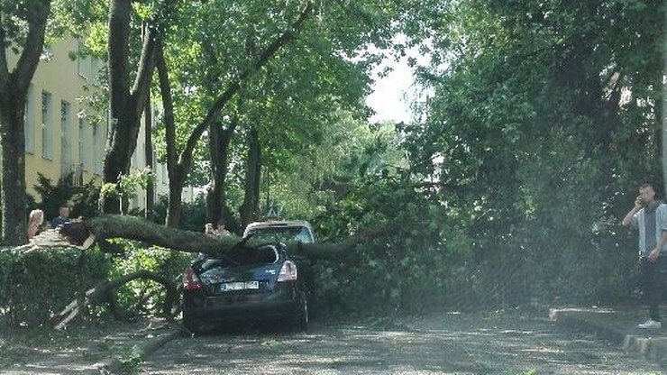 Lublin, ul. Zuchów. Burza przewróciła drzewo na samochód