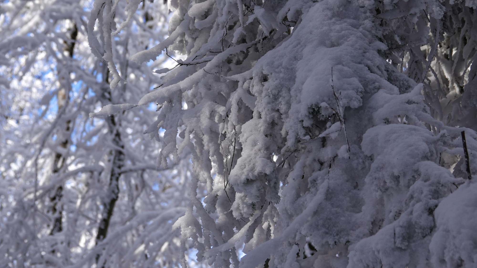 Kraina Narnii - zdjęcie 23