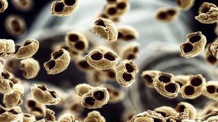 20-04-2026 03:59 Detektory wykrywają to w całej Polsce. Eksperci biją na alarm