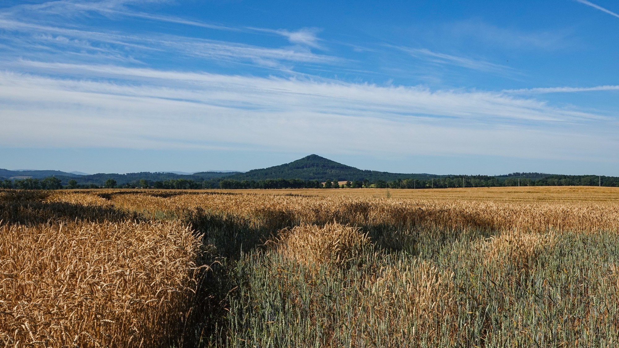 Podróż przez polską prowincję - zdjęcie 20