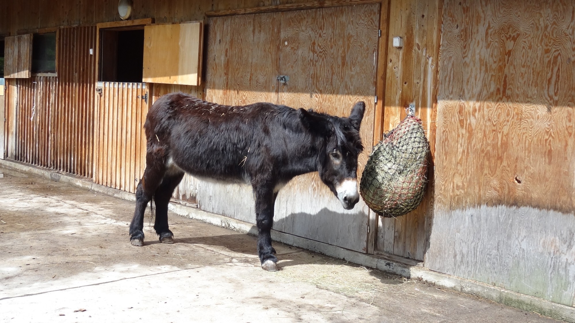 Z kamerą wśród zwierząt - zdjęcie 84