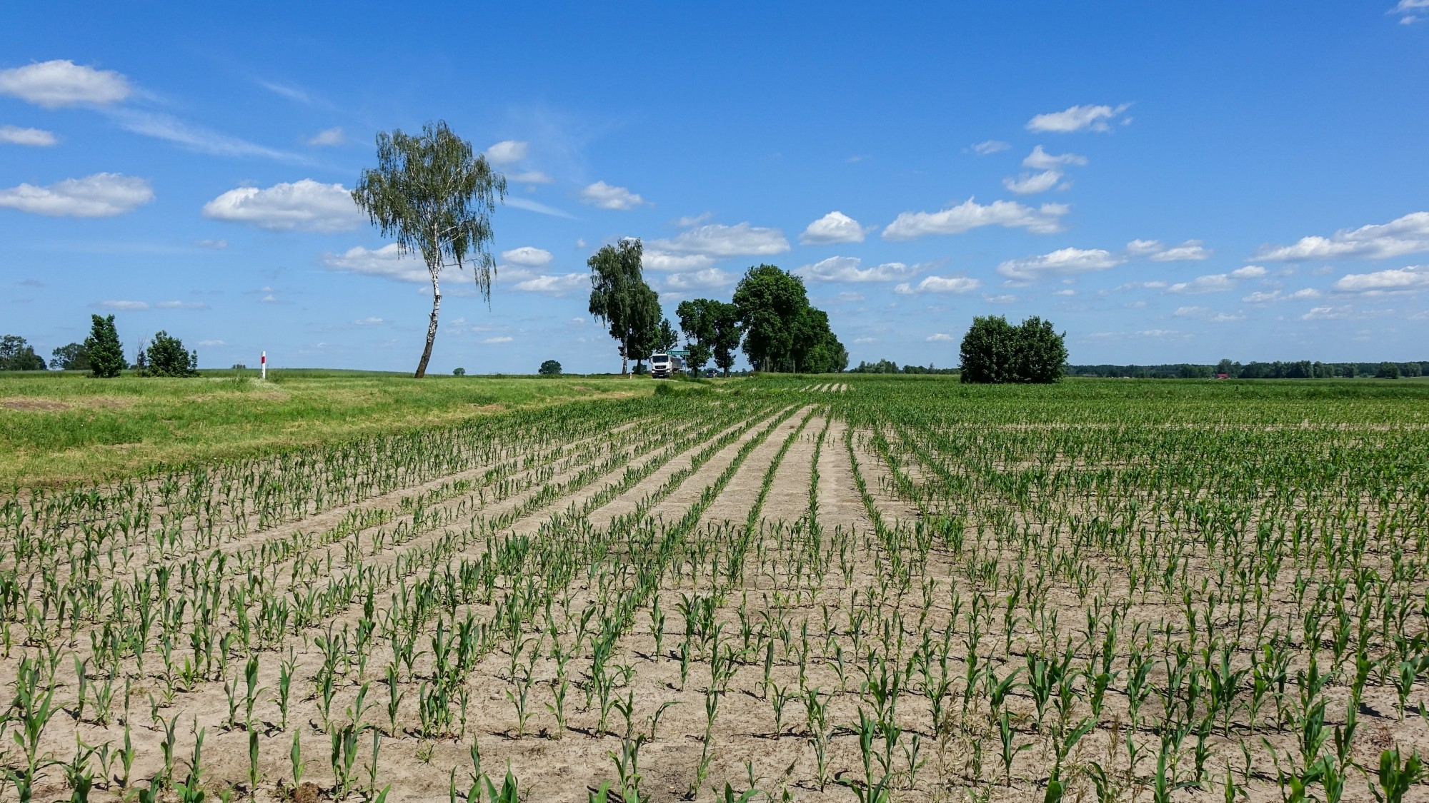 Uroki lata za miastem - zdjęcie 10