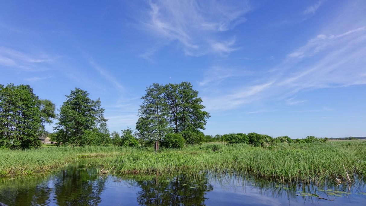 Nad morzem, jeziorami i rzekami - zdjęcie 97