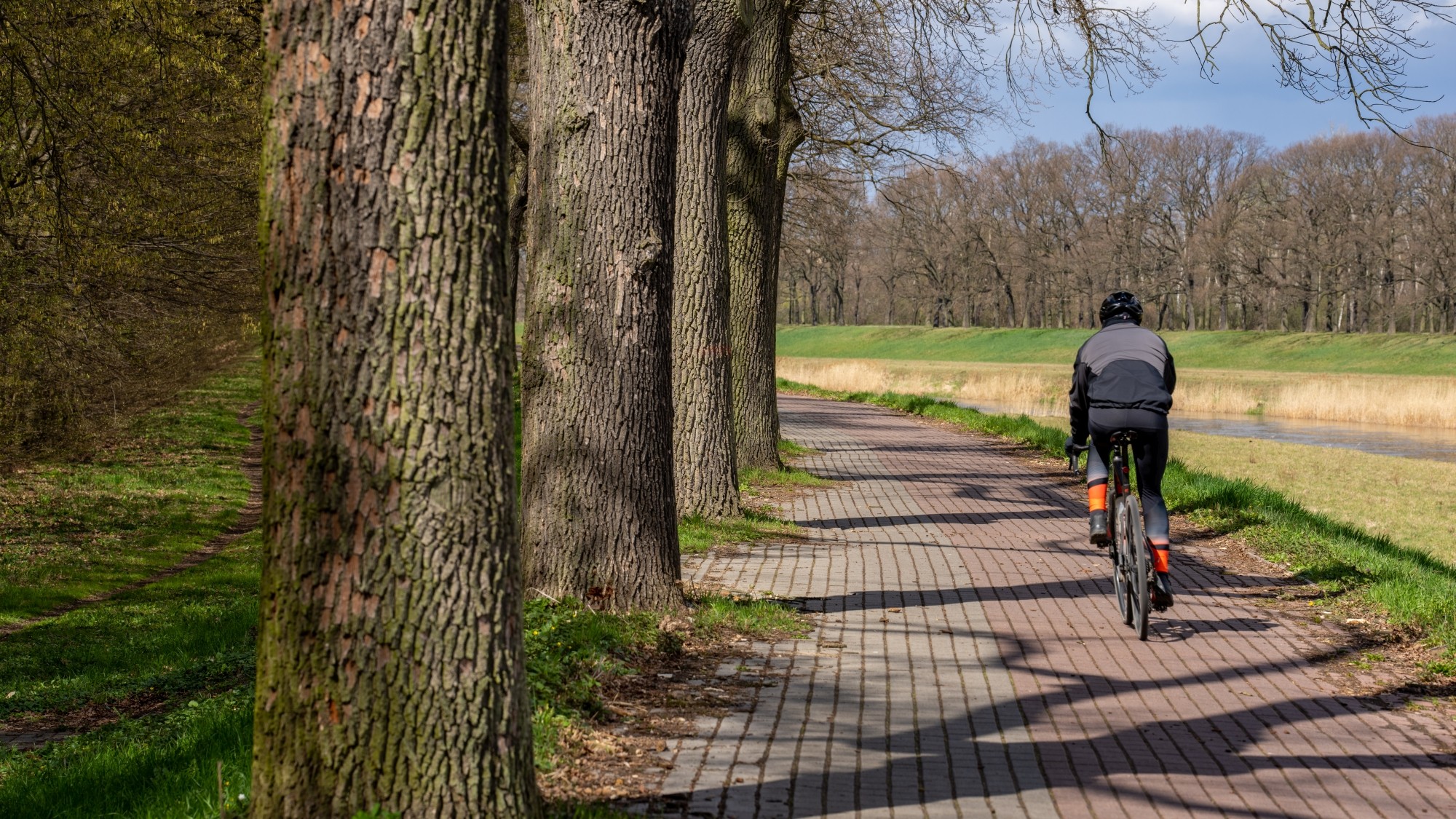 Miejska przyroda - zdjęcie 14