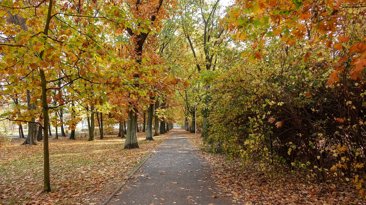 Jesienne klimaty - zdjęcie 16