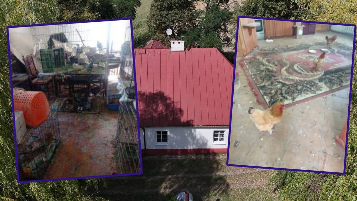 Wyremontował dworek i wynajął. Po kilku miesiącach zastał... kurnik