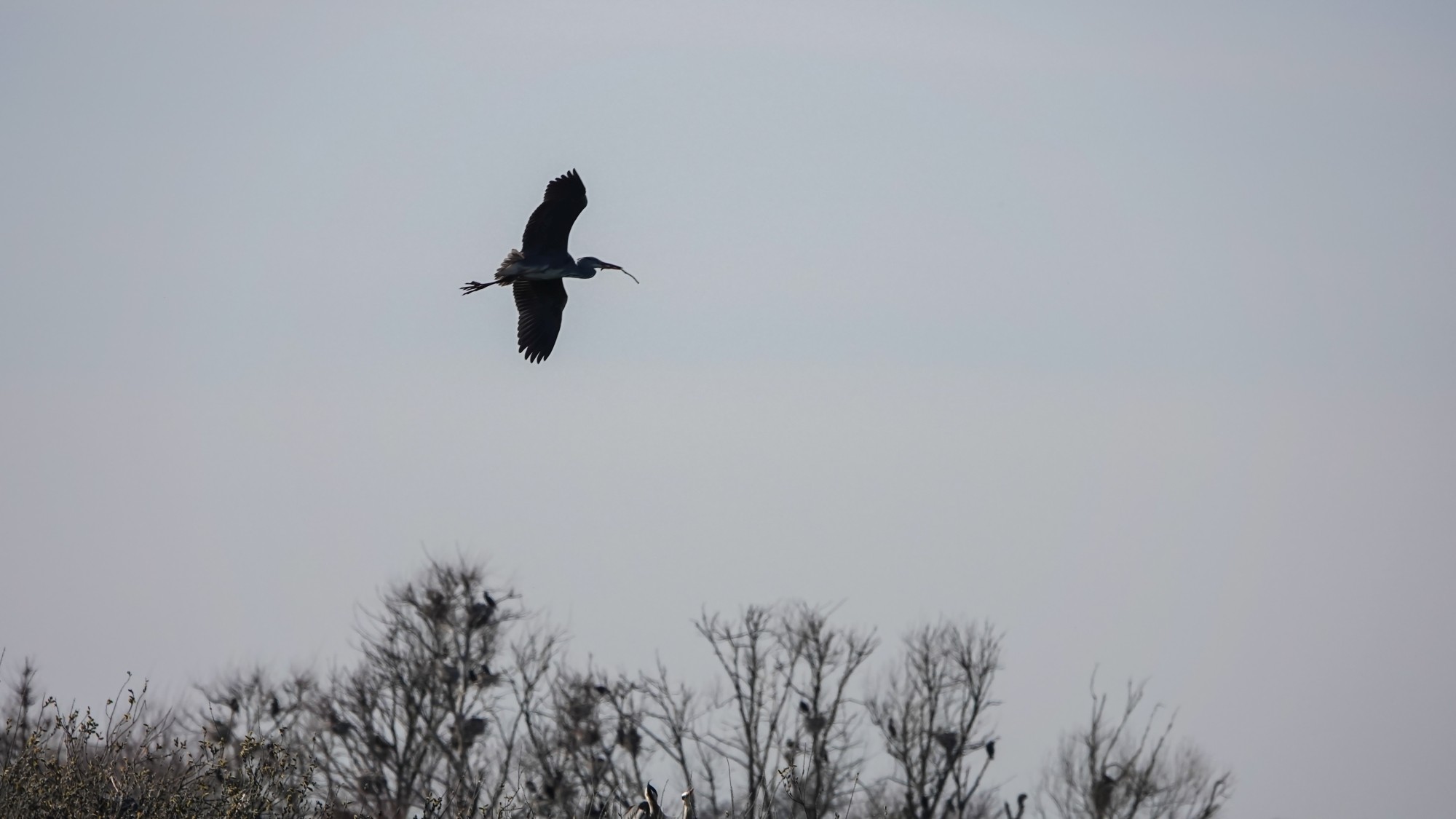 Z kamerą wśród zwierząt - zdjęcie 96