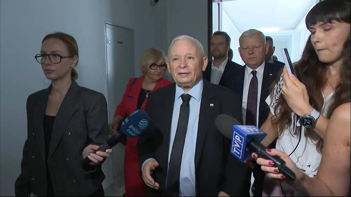 Jarosław Kaczyński porównał partię do drzewa. "Niektóre gałęzie trzeba odciąć"