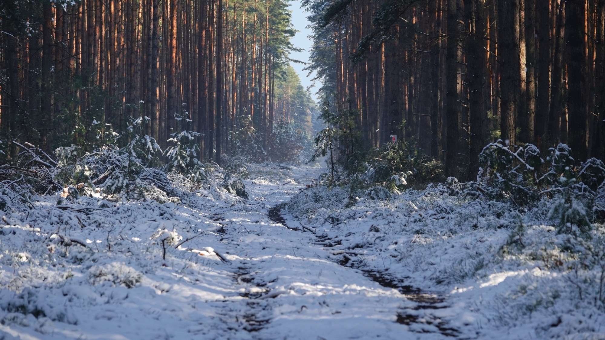 Oblicza zimy - zdjęcie 28