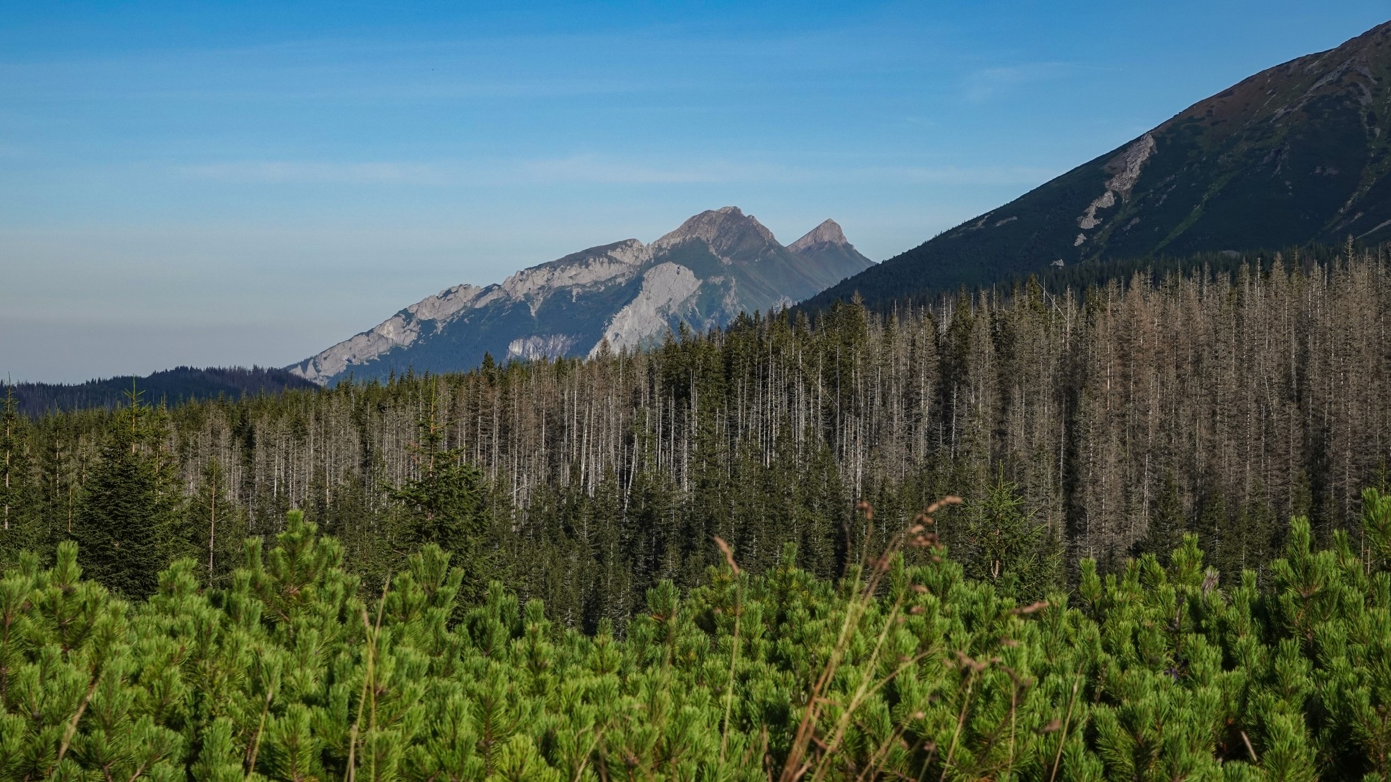 Piękno Tatr tuż przed opadami śniegu - zdjęcie 30