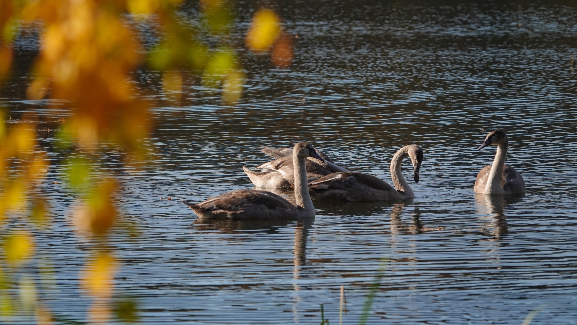100 najpiękniejszych zdjęć 2021 roku - zdjęcie 69