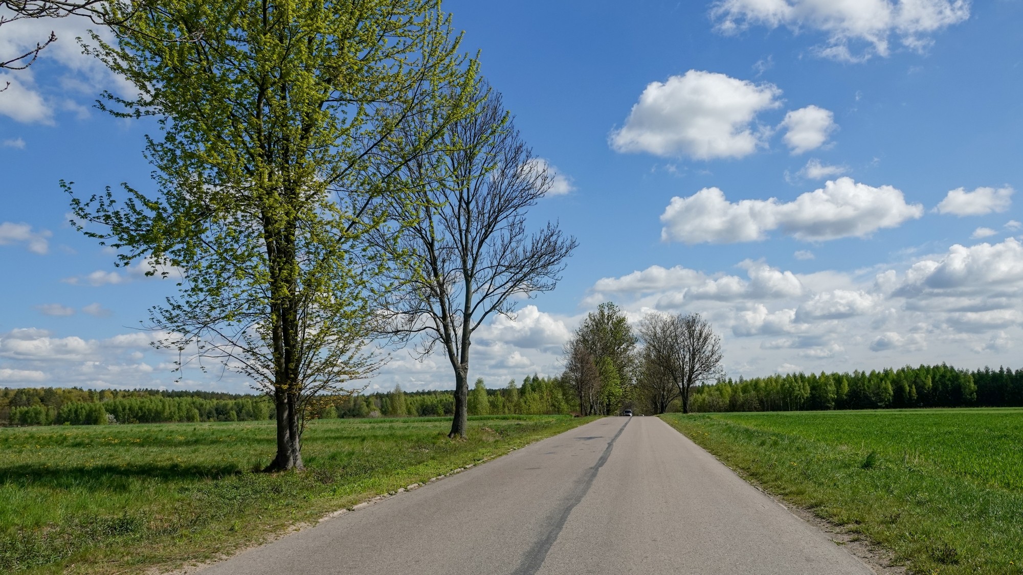 Kwiecień w obiektywie - zdjęcie 46