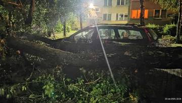 Drzewa łamały się jak zapałki. Krajobraz po nawałnicach nad Polską