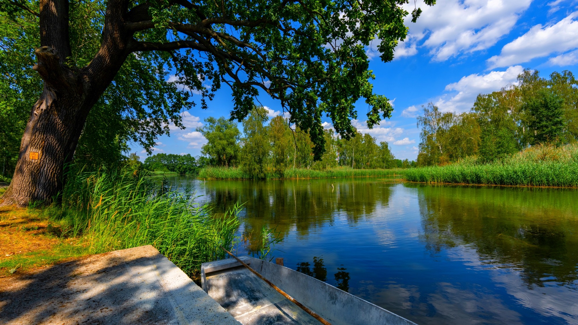 Wśród natury - zdjęcie 4