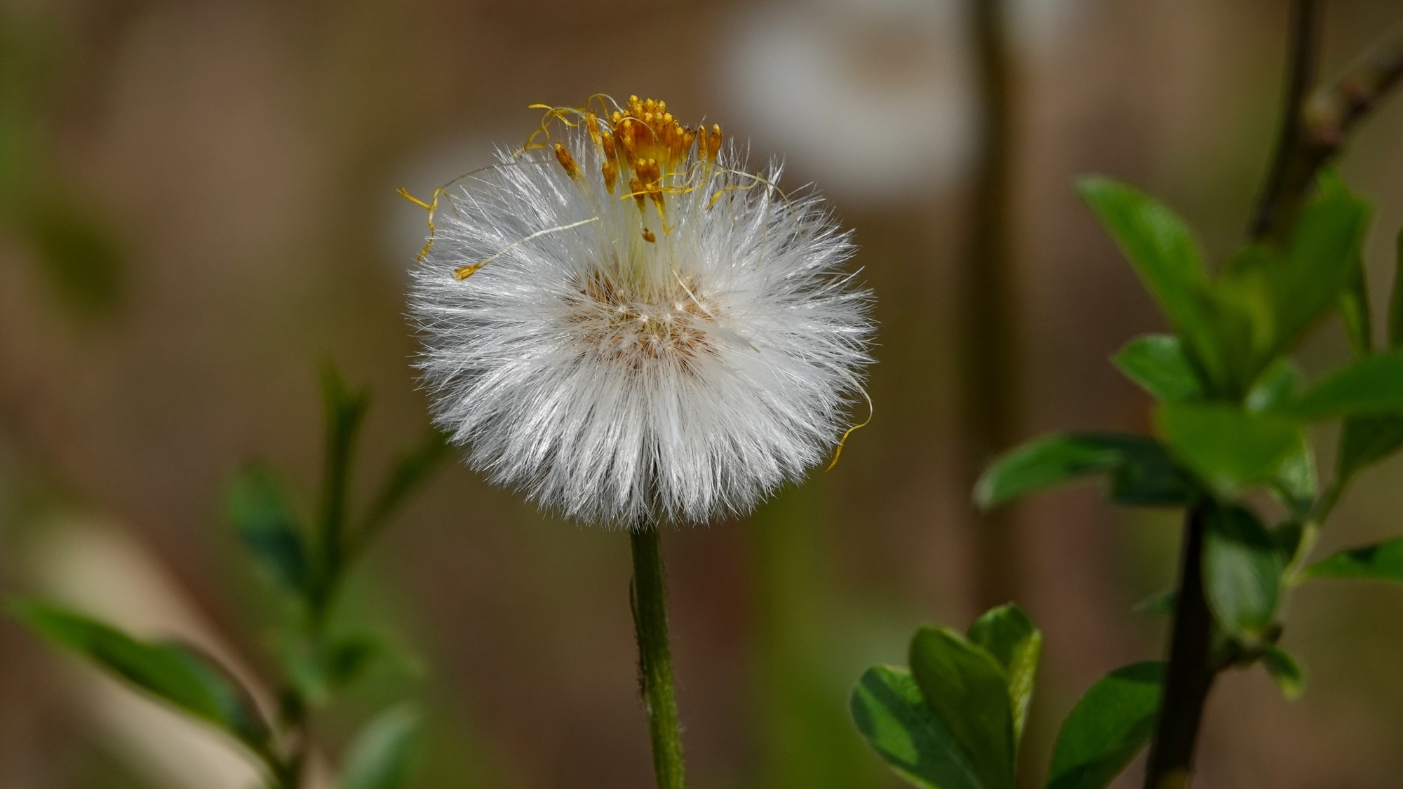 Kwiecień w obiektywie - zdjęcie 28