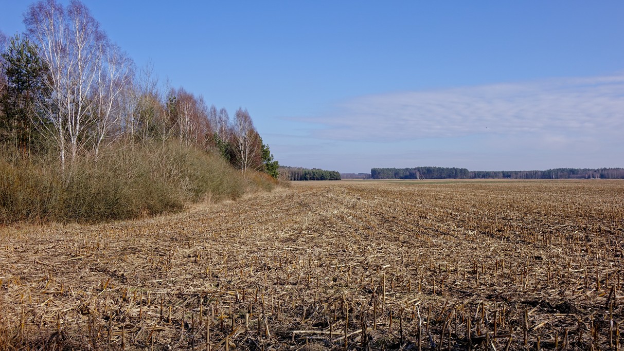 Marzec w obiektywie - zdjęcie 52