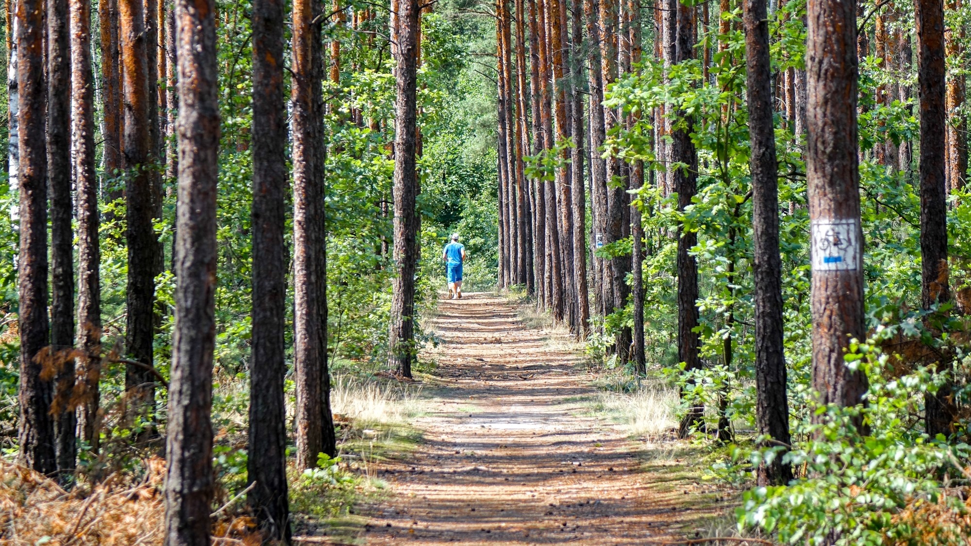 Odkryj piękno Polski w wakacje - zdjęcie 98