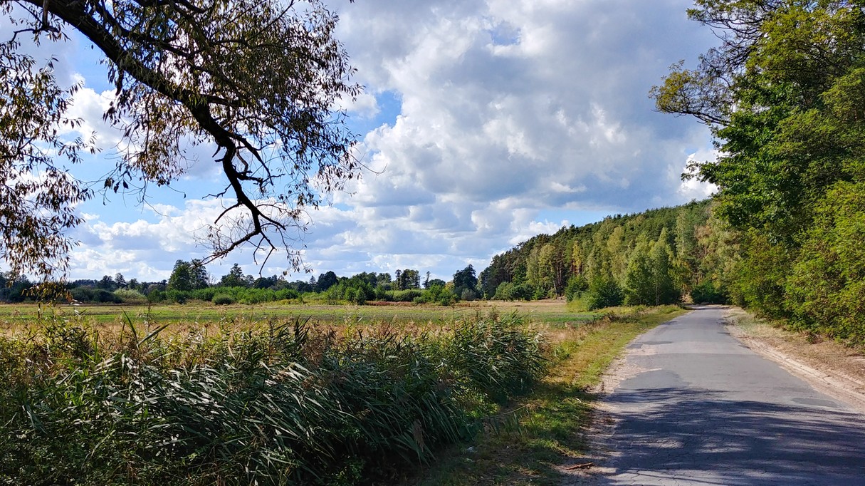 Uroki końca lata - zdjęcie 9