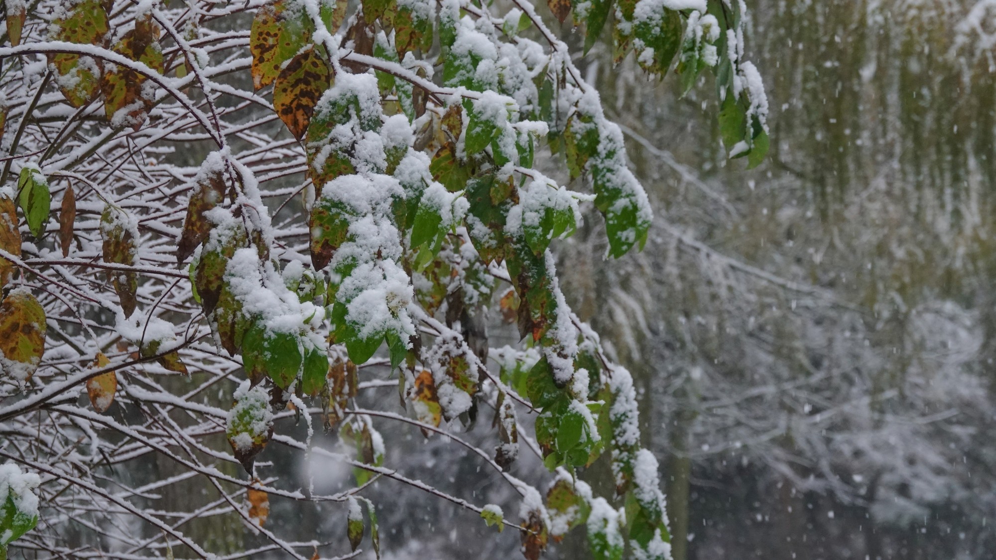 Oblicza zimy - zdjęcie 19