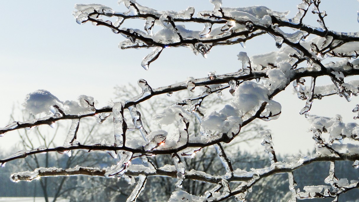 Minione zimy w Polsce - zdjęcie 40