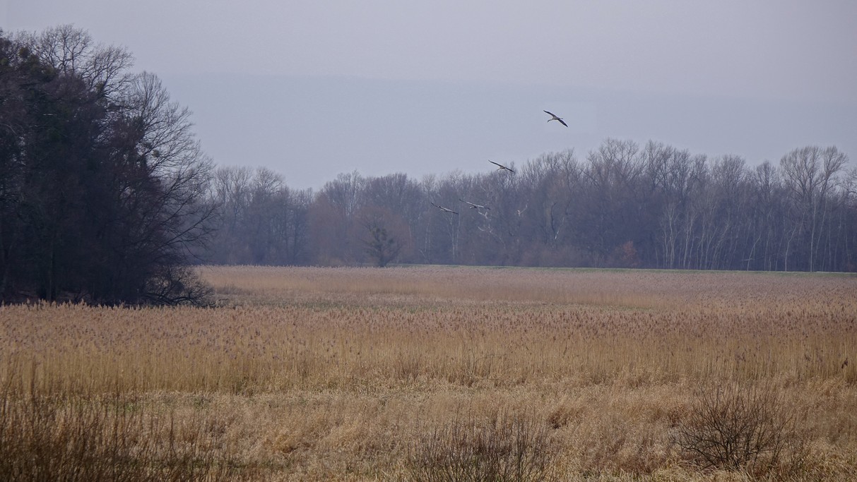 Styczeń w obiektywie - zdjęcie 45