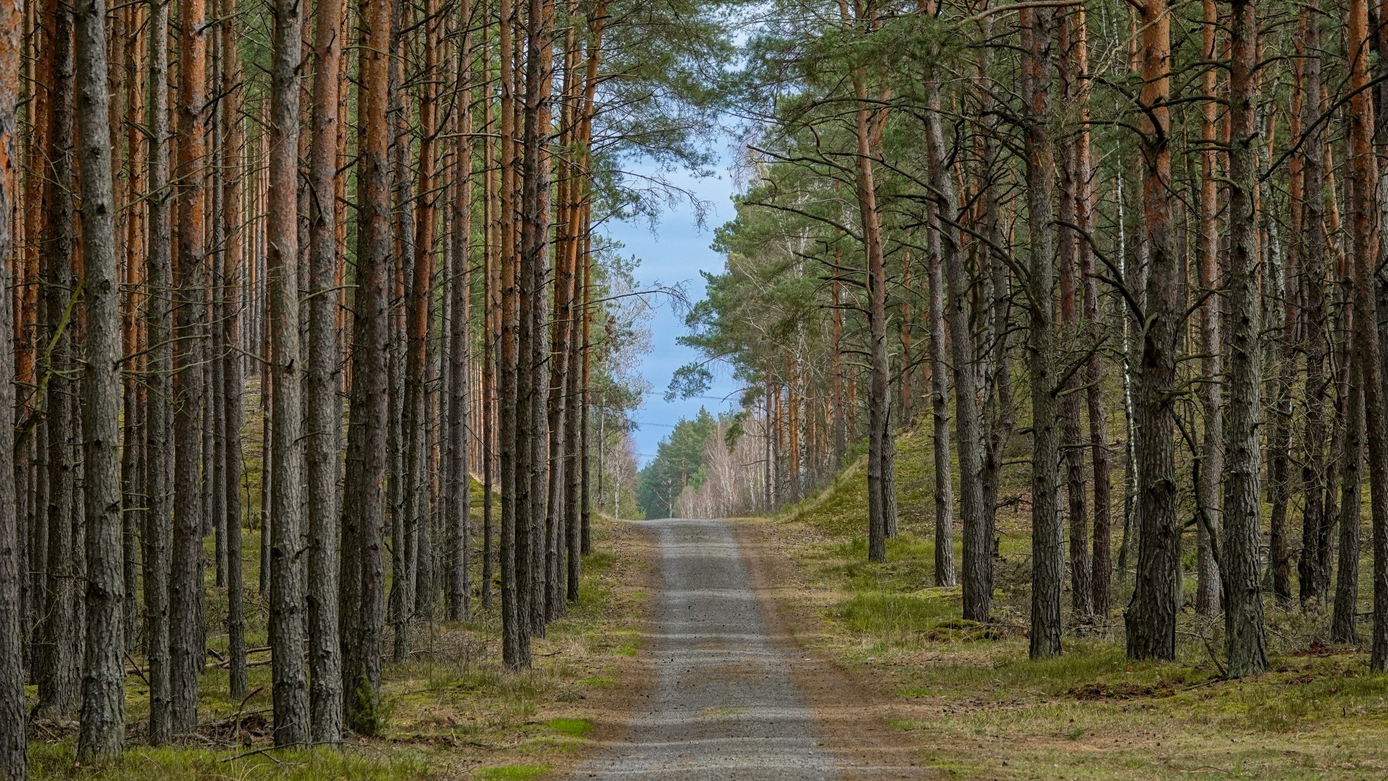 Marzec w obiektywie - zdjęcie 21