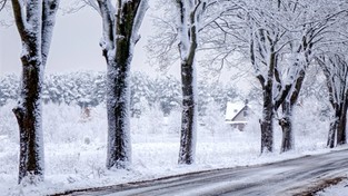 01.12.2019 10:00 Śnieg prószy na kolejne regiony kraju. Sprawdź, kiedy może pojawić się w Twojej miejscowości