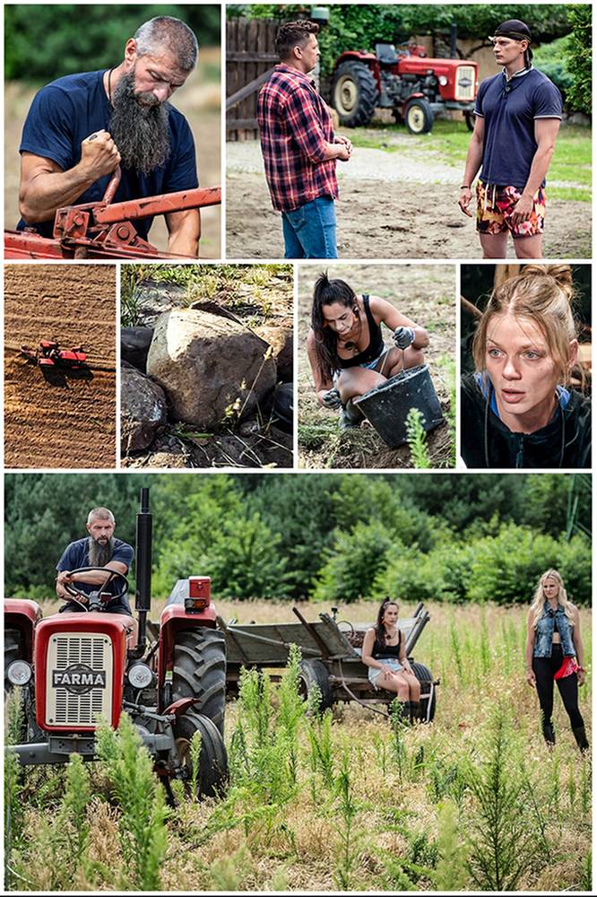 2026-04-08 Farma - edycja 5, odcinek 38: Kamieni i kłopotów od metra - Polsat.pl