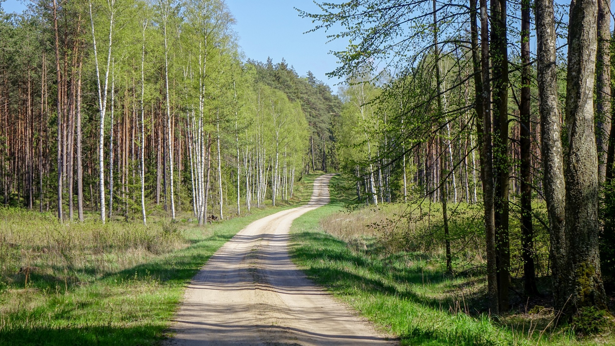 Odkryj piękno Polski w wakacje - zdjęcie 82