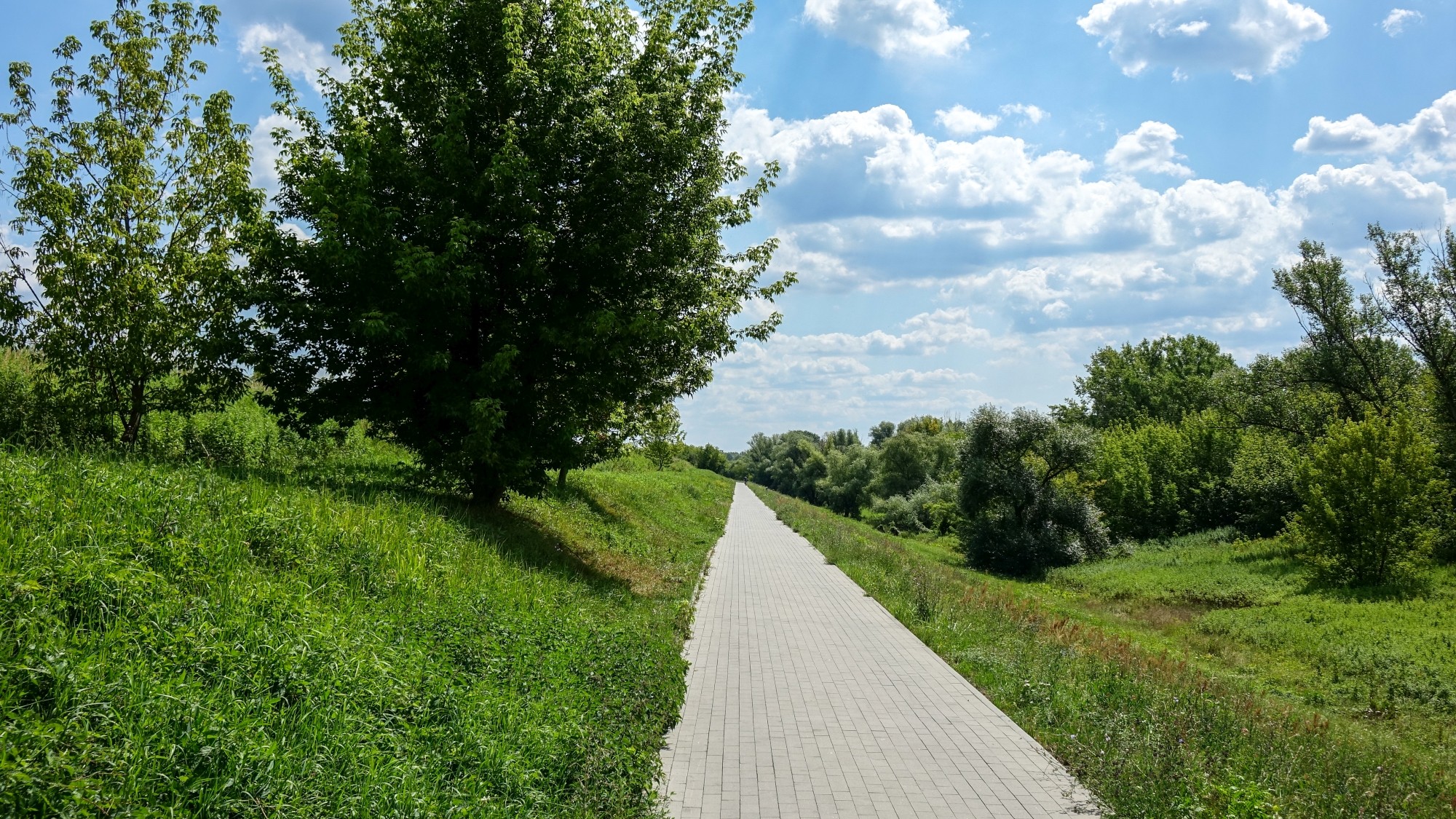 Lipiec w obiektywie - zdjęcie 51