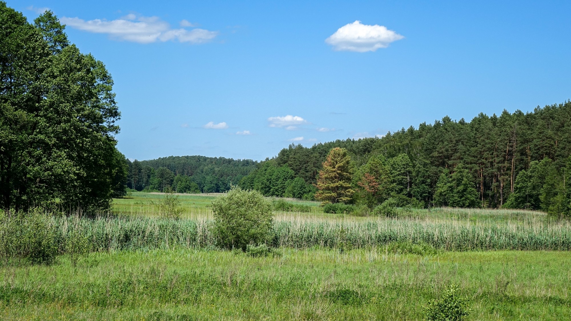 Koniec lata w pięknej Polsce - zdjęcie 26