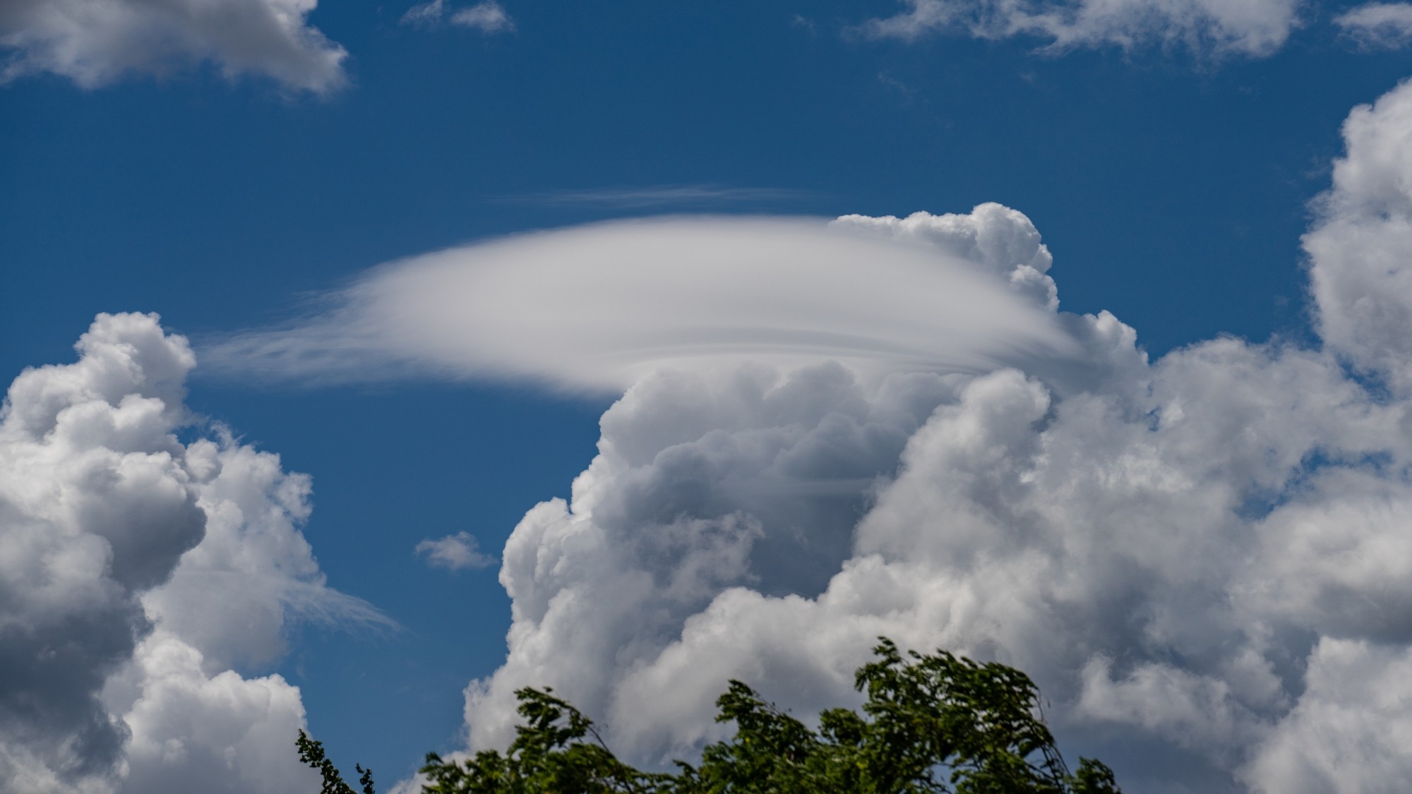 Kolory lata - zdjęcie 16