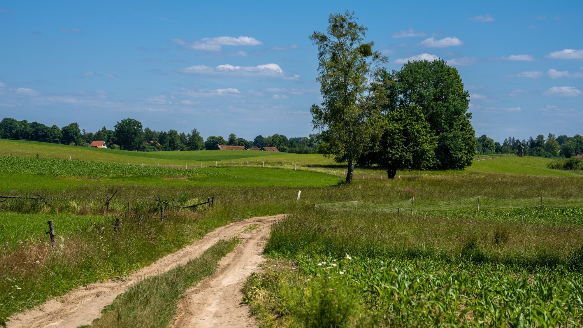 Kolory lata - zdjęcie 68