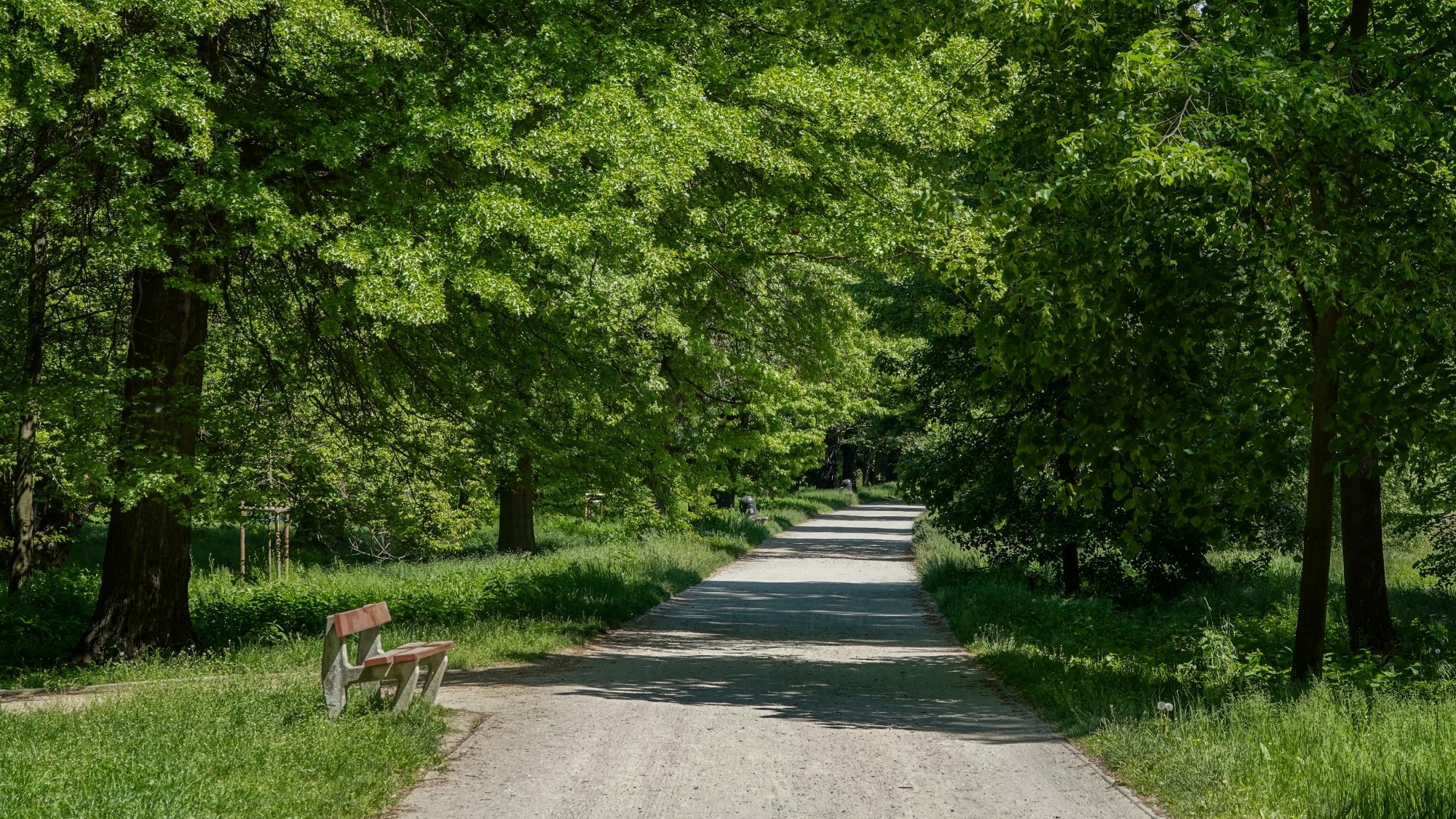 Całe piękno późnej wiosny - zdjęcie 48