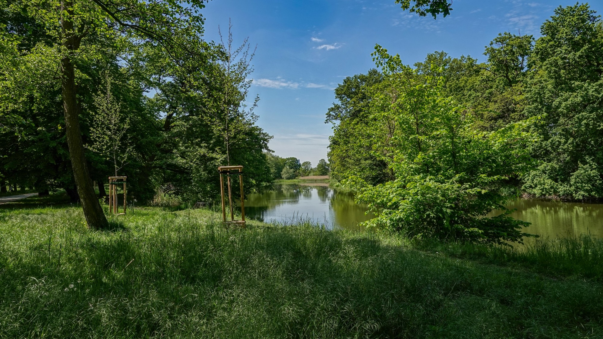 Uroki zielonej pory roku - zdjęcie 69