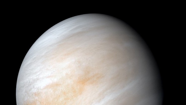 Ślady życia na Wenus? W atmosferze znaleziono cząstki fosforowodoru