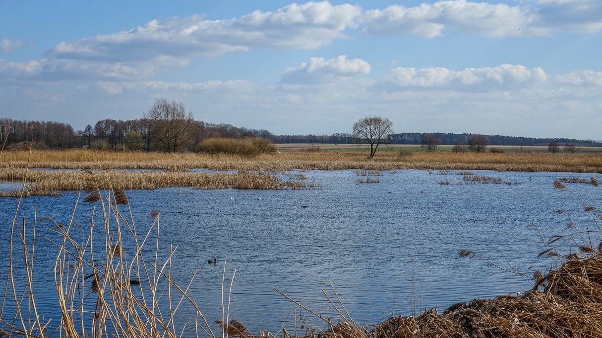 Marzec w obiektywie - zdjęcie 23