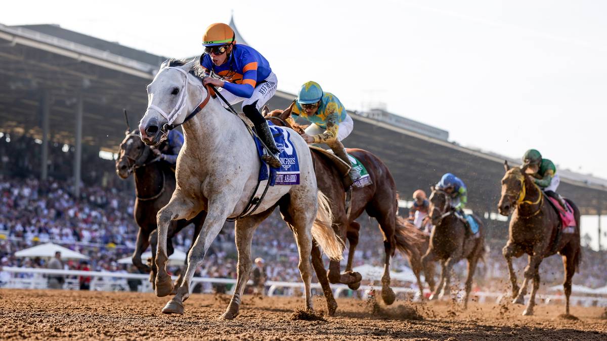 Ukoronowanie sezonu wyścigów konnych na świecie. Polsat Sport pokaże Breeders' Cup Classic