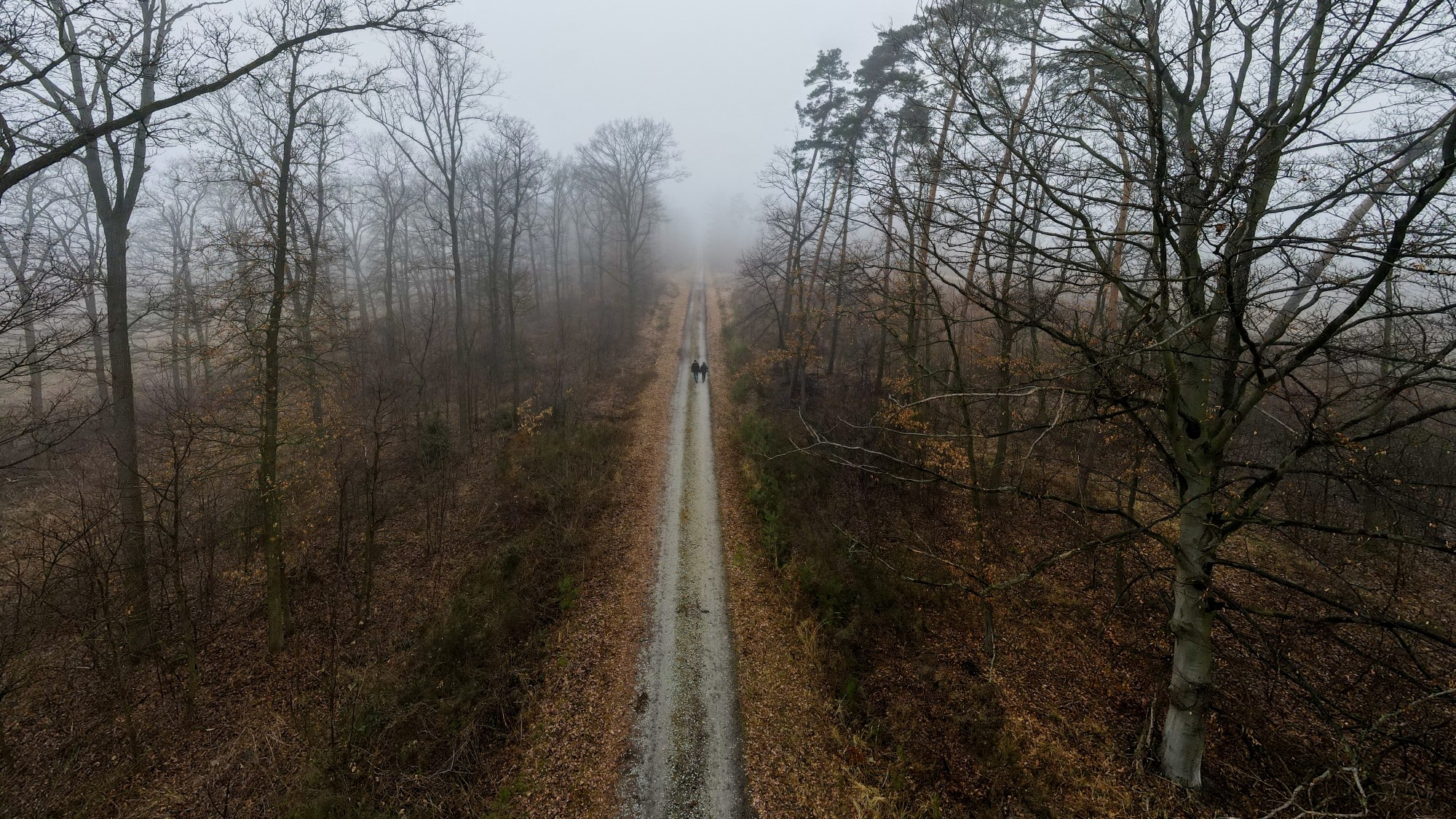 Cuda polskiej natury - zdjęcie 14